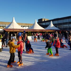 Bussum op IJs toegangsbewijs. 1 kaartje.